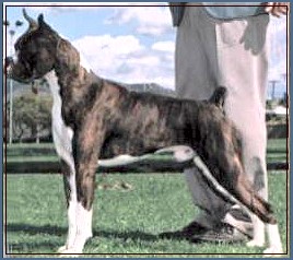 Caesar