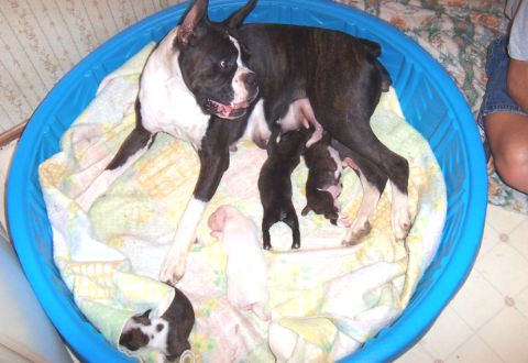 One Week Old