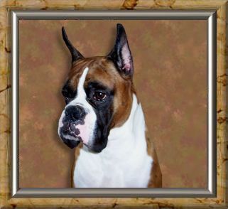 Hugo